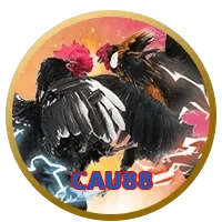 CAU88